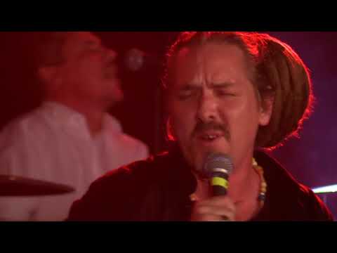 LionDub - Don't let them get you down