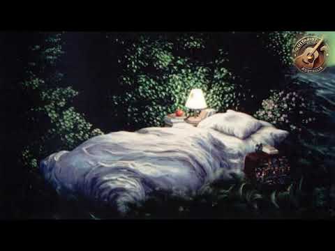 Mộng ảo - Thái Hoàng