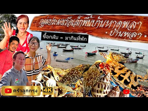 หาดพยูน และหาดพลา