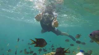 preview picture of video 'Snorkeling - Pulau Karampuang Mamuju'