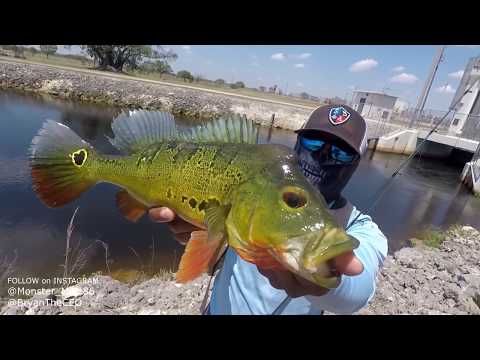 Magnet Fishing & Testing New Fishing Rod | Monster Mike