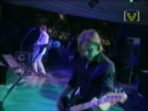 Livid Festival 1995 | The Cruel Sea, You Am I, Babes In Toyland, Frenzal Rhomb, Rollins Band