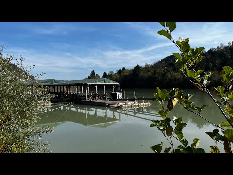 Koroški splavarji na Dravi