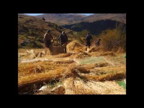 Ajde Vrati Glava **Zujce