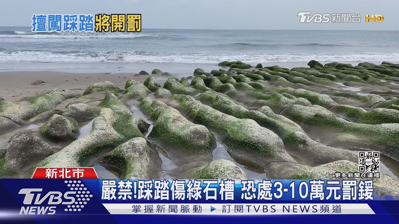 勿踩！老梅綠石槽觀賞期來了　只可遠觀