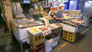 Ueno Tokyo Japan – August 2025 - 4K HDR