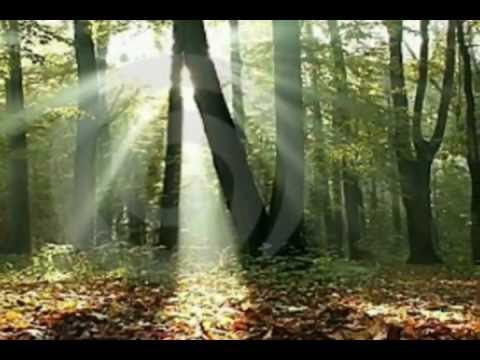 Thu vàng hồn lá mê say Sheet - Nhật Huy