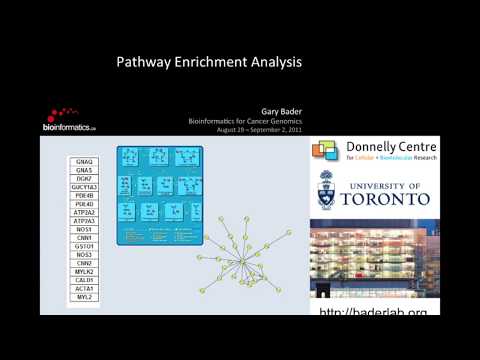 Pathway Analysis and Biological Interpretations Part 2