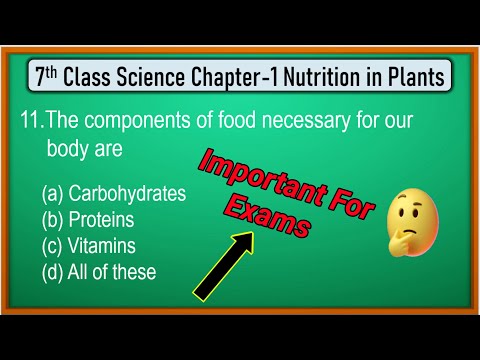 Nutrition in Plants Class 7 Chapter 1 MCQs | Class 7 science chapter 1 nutrition in plants