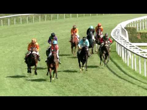 Aarau/11.09.2016/Ponney D.