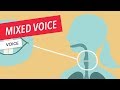 Voice Techniques Mixed Voice Singing Vocals Voice Lesson
