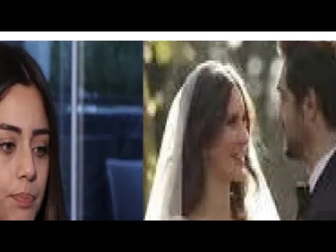 SILA I HALIL SU OTKAZALI SVOJE PLANOVE ZA TAJ DAN