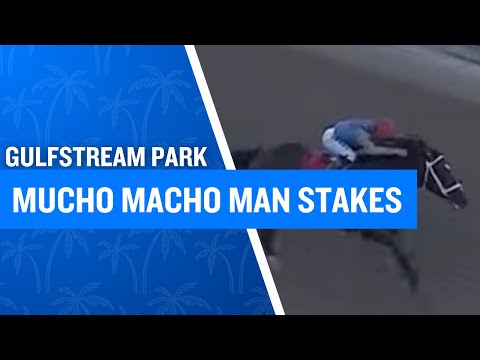 2026 $175,000 Mucho Macho Man Stakes at Gulfstream Park