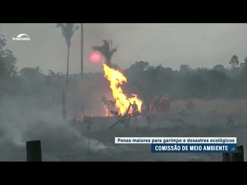 CMA aprova penas maiores para garimpo ilegal e desastres ambientais