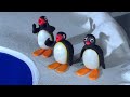 Pingu S06e25 Pingu Makes A Big Splash Dvdrip Xvid