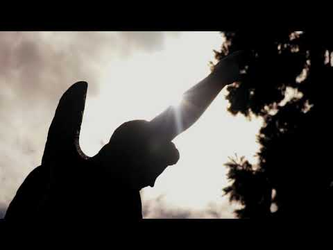 Swiezo - Cotton Candy (Visualizer)