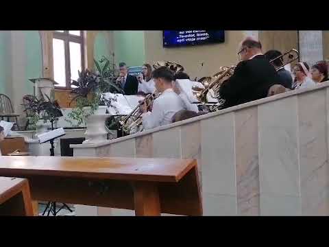 In veci canta-voi ca-s fericit