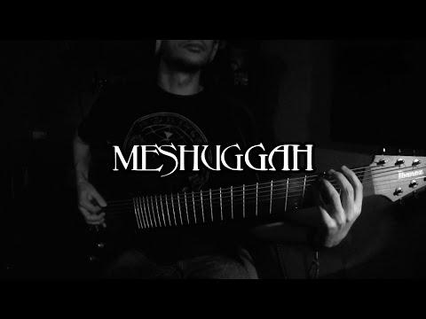 Meshuggah - Bleed (Guitar cover)
