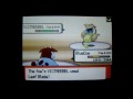 Debatable result... [Pokemon DS Wi-Fi Battle 13 ...