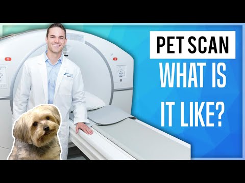 PET Scan: What Is It Like?