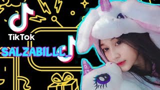 Download lagu TIKTOK ID : salzabill mp3