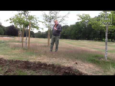 Staked Trees   No Play Zone plus Brokenhurst Temporary Line of Sight Rule