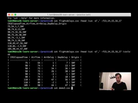 Data + Coding in Bash - episode 4 - Best Practices & Shortcuts (data science for beginners)