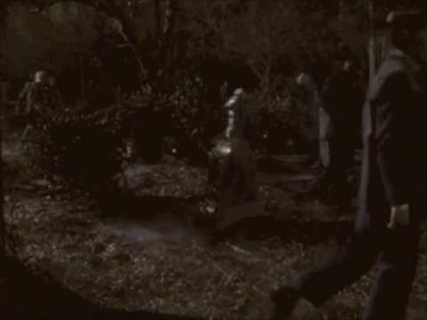 Your Dog Ate My Zombie-I Can See it in Your Eyes