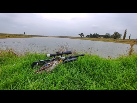 Airgunnut 23gr Slug Review with the FX Impact 22 cal