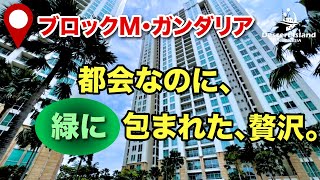 【ジャカルタ🇮🇩】パクボノビュー・詳細は概要欄へ！！！