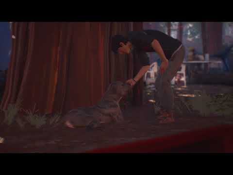 Life is Strange 2 - The Dharma Bums
