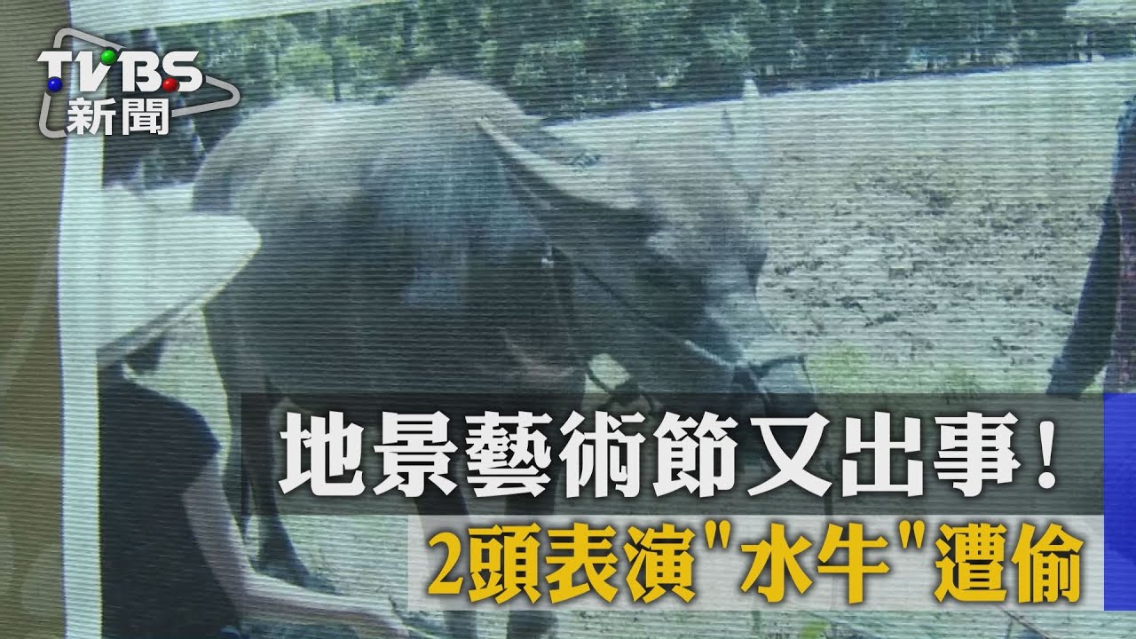 地景藝術節又出事! 2頭表演「水牛」遭偷