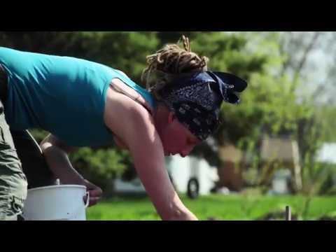 From Seed to Seed - Documentary Film Trailer