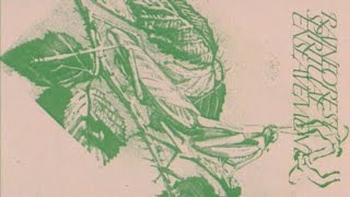 Rainforest Spiritual Enslavement - Life Would Transform