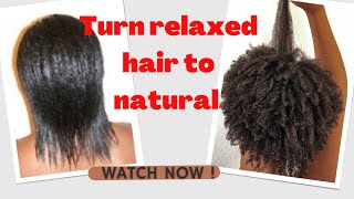 How to change relaxed hair to natural hair ||big chop and transitioning |fast and easy
