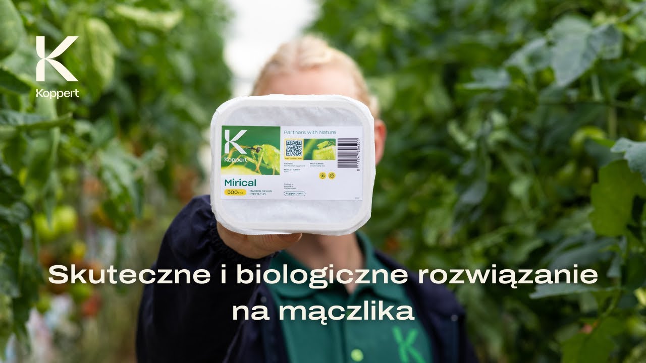 Video preview poster