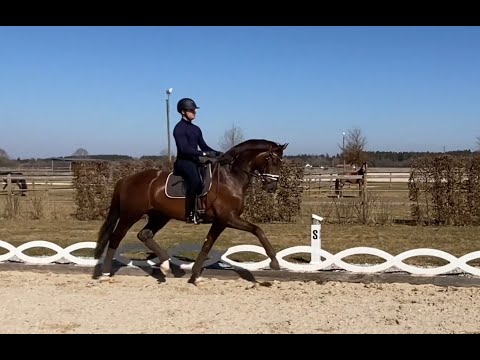 Feliciano März 2022