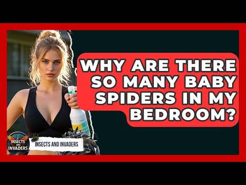 Why Are There So Many Baby Spiders In My Bedroom? - Insects and Invaders