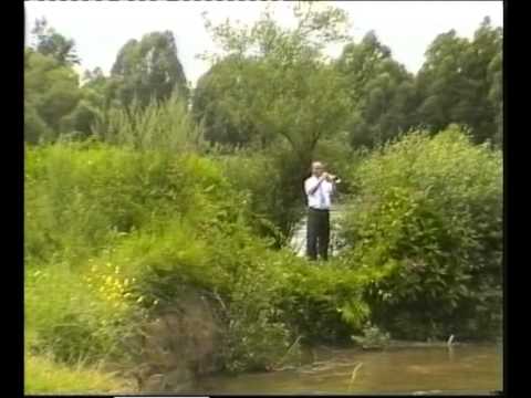 Tamo kraj Mure moj je dom