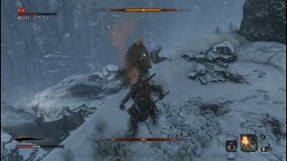 【SEKIRO】初実況者が挑む初見SEKIRO　二十