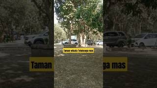 Download lagu TAMAN WISATA TELUK NAGA MAS mp3