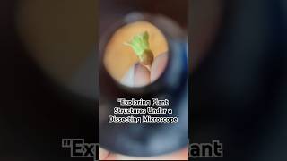 "Exploring Plant Structures Under a Dissecting Microscope | Up-Close Botanical Wonders"#Microscopy