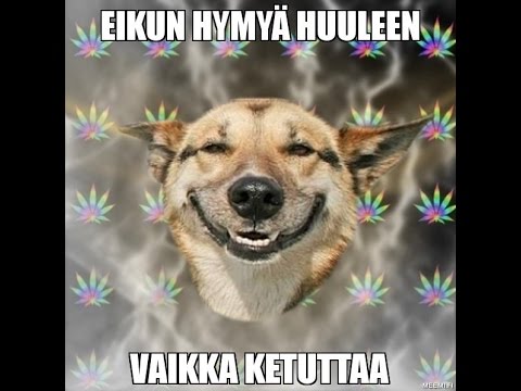 Nyt meikäläisellä alkaa viikonloppu