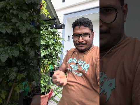 Part 2, natural plant 🌱 