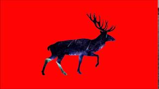 White Hex -  Paradise