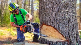 How to Cut A Tree BIGGER THAN YOUR SAW
