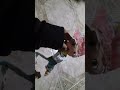 Olvidaste Valiente Y Guapo