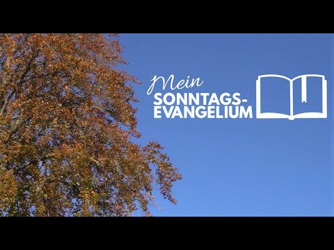 Mein Sonntagsevangelium: Hunger nach Gerechtigkeit