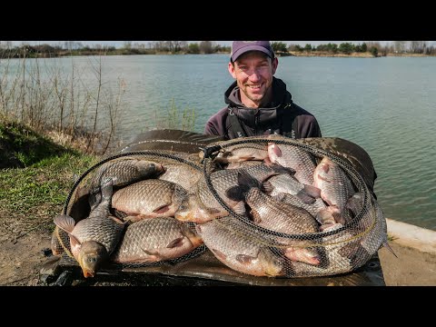 Medal-winning crucian carp on the method