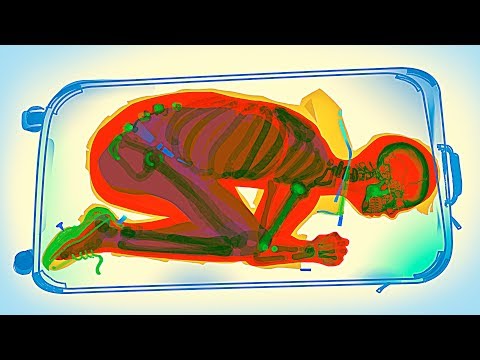 10가지 알려지지 않은 여행 비밀과 꿀팁